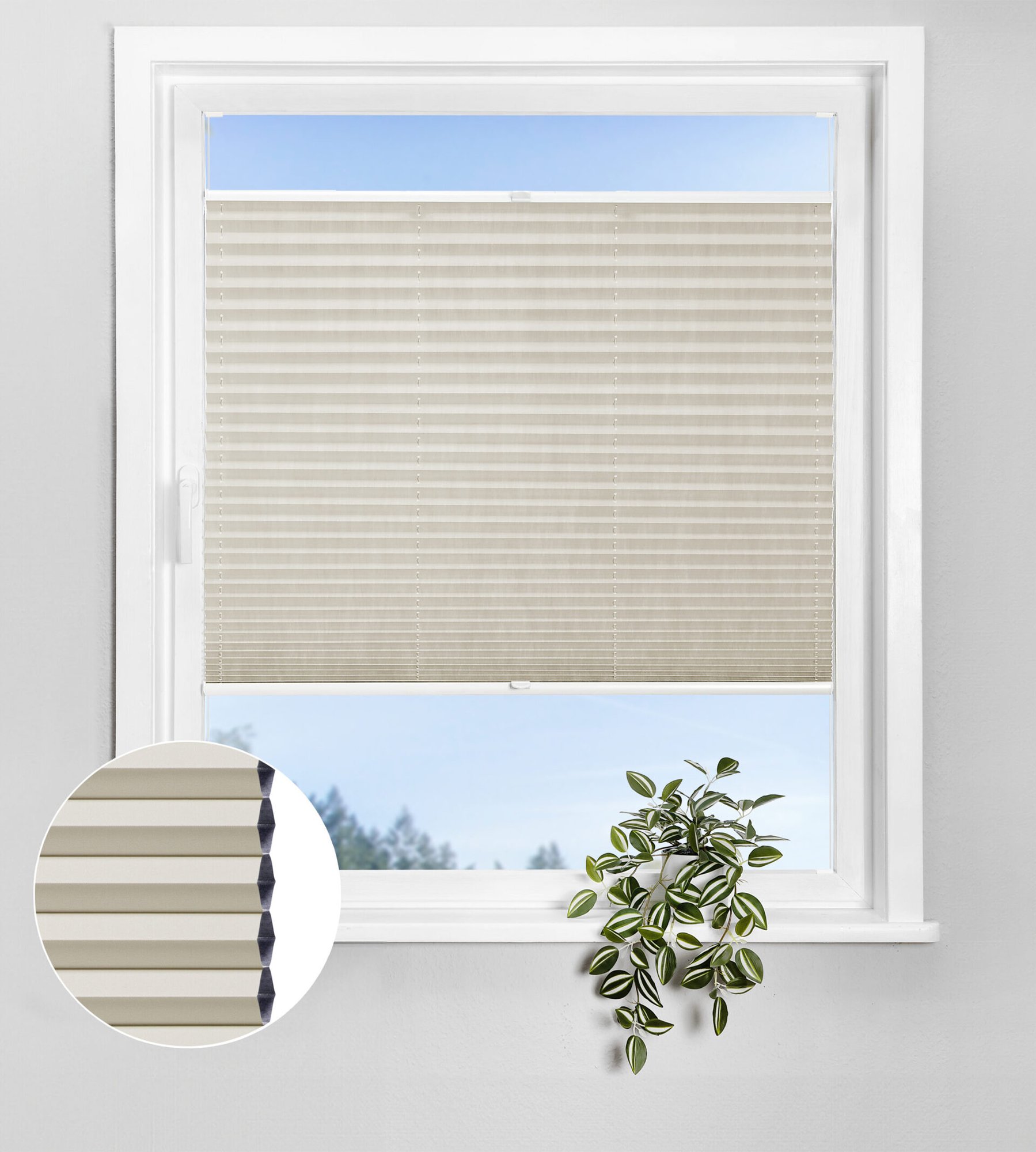 Wabenplissee Lunaris