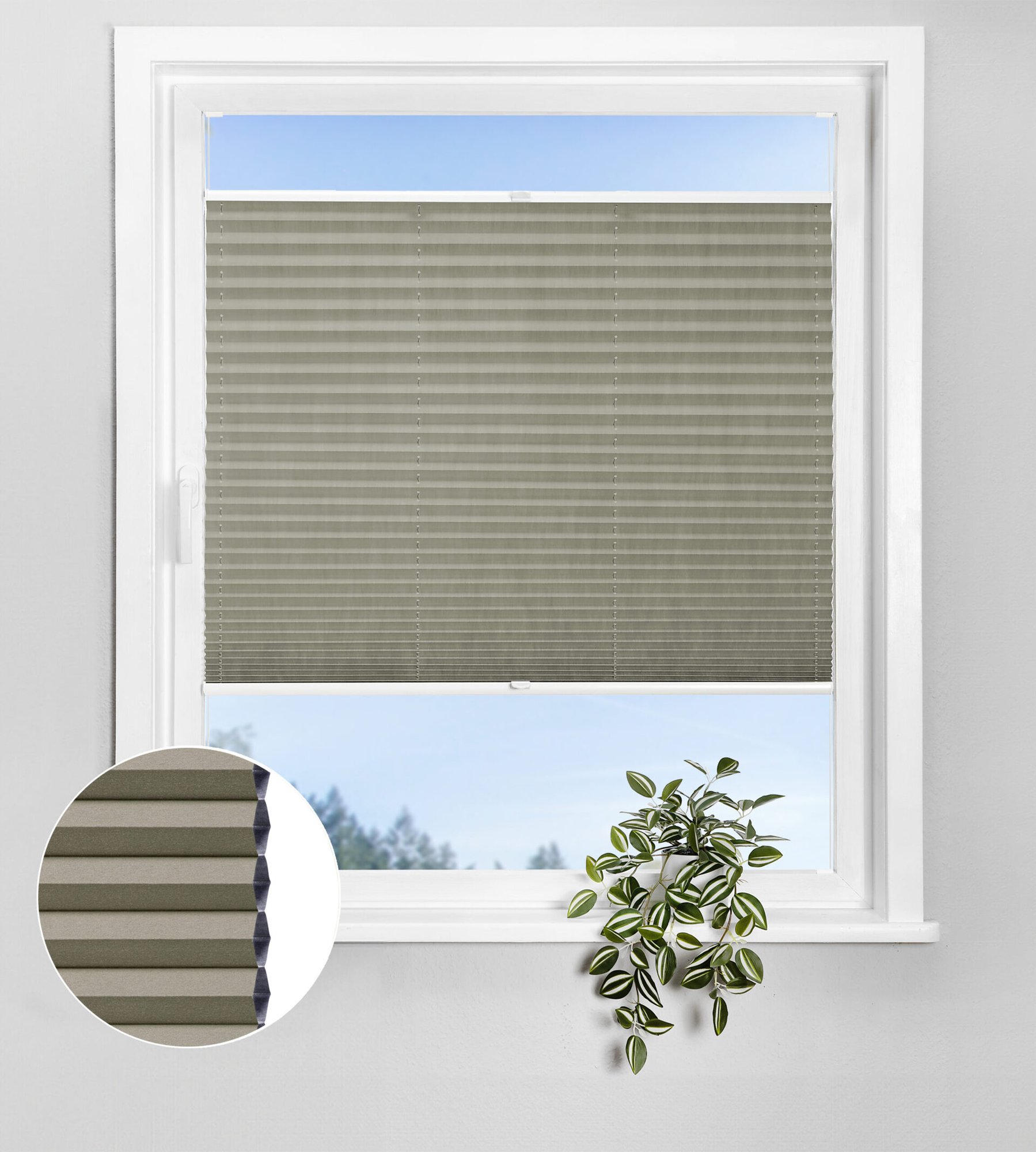 Wabenplissee Lunaris