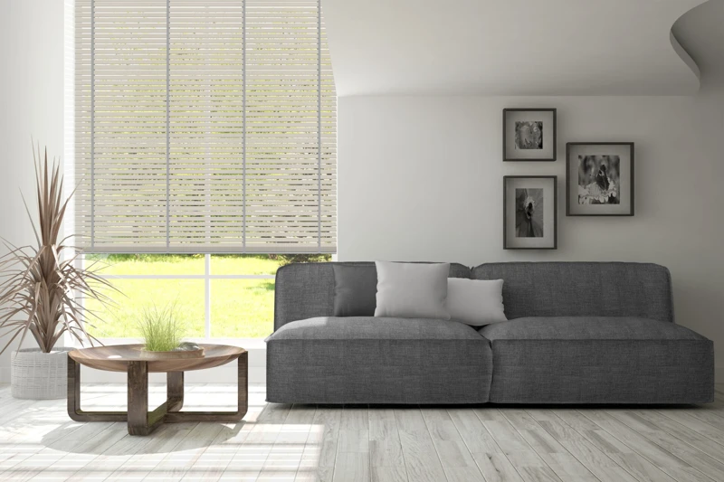 AN-53_50-bamboo-50-ver-2-scaled-1