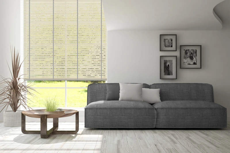 AN-54_50-bamboo-50-ver-2-scaled-1