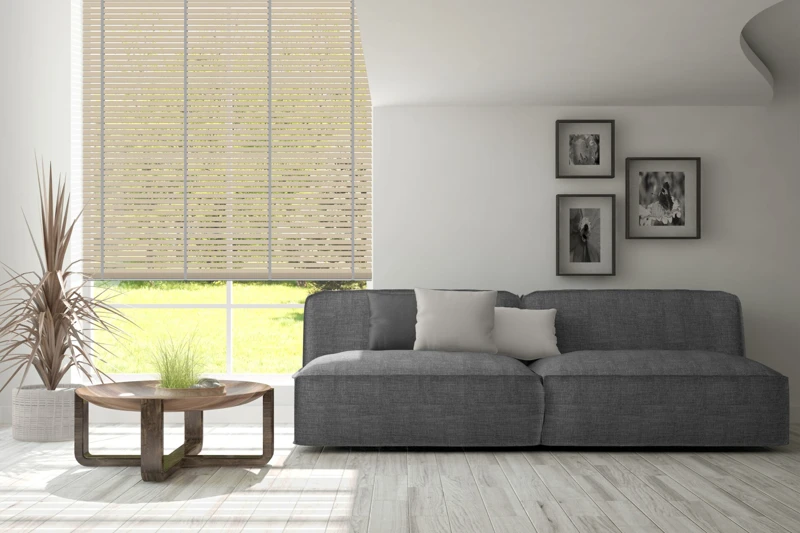 AN-81_50-bamboo-50-ver-2-1-scaled-1