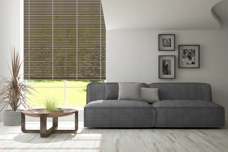 AN-85_50-bamboo-50-ver-2-scaled-1