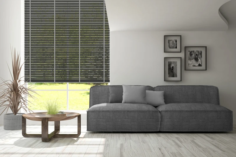 AN-87_50-bamboo-50-ver-2-scaled-1