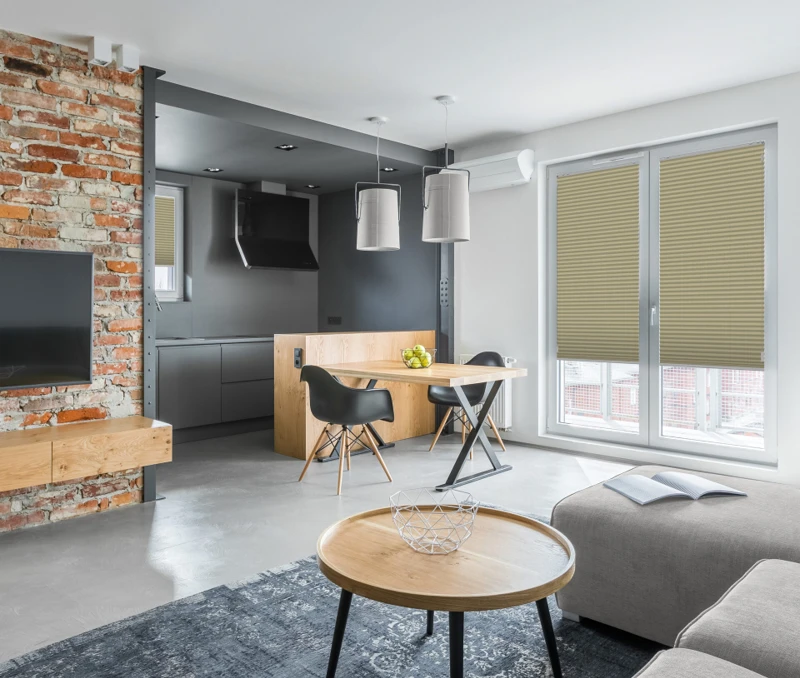 Apartment with open kitchen